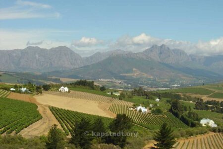 Stellenbosch: 10 Interesting Facts You Might Not Have Known