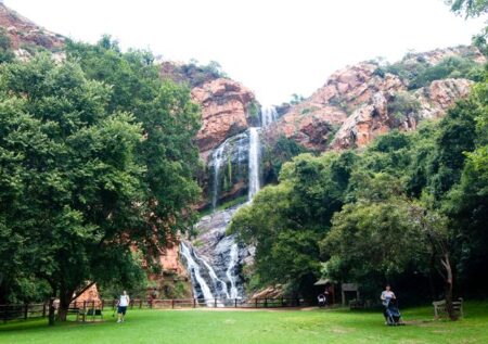 Walter Sisulu Botanical Gardens in Gauteng