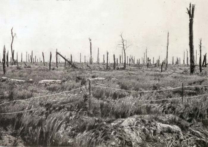 World War I: 38 Interesting Facts You Might Not Know the Battle of Delville Wood